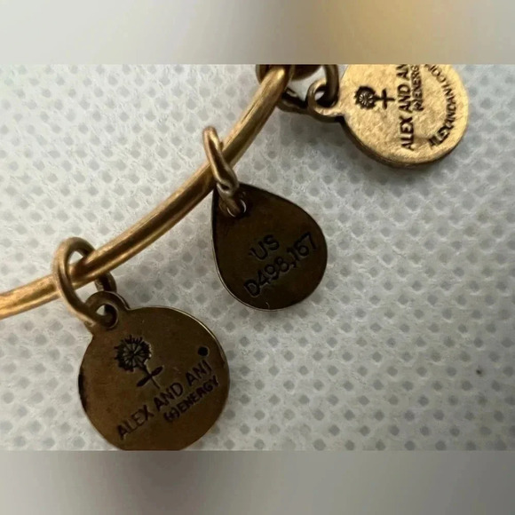 Alex and Ani | Mother/child Hand in Hand charm bracelet. - Picture 7 of 12